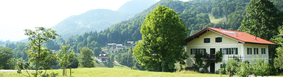 Ferienwohnung Mieslhof